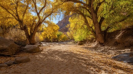 Obraz premium Autumn Trees in a Valley Landscape with Vibrant Golden Foliage and Natural Serenity