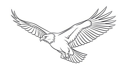 Obraz premium Majestic eagle soaring with wings spread wide capturing the essence of freedom and wild beauty in a detailed line drawing silhouette