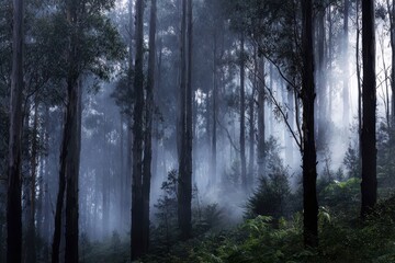 Fototapeta premium Ethereal Forest Misty Woodlands with Towering Trees and Mystical Atmosphere
