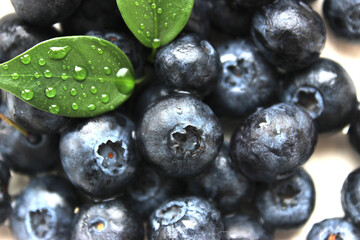 Ripe blueberries lie on a plate