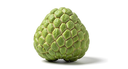 Fototapeta premium Cherimoya Fruit: Close-up of a Single, Fresh, Green Cherimoya