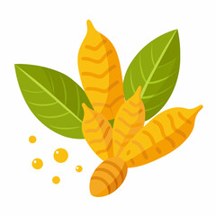 Turmeric Root and Leaves with Drops