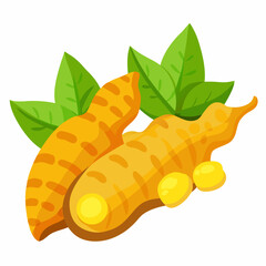 Fresh Turmeric Roots with Green Leaves