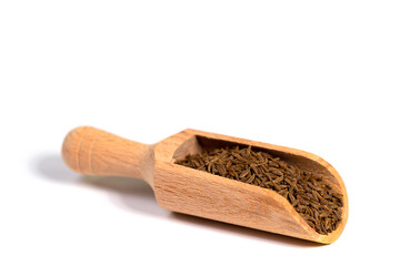Kümmelsamen auf einer Gewürzschaufel