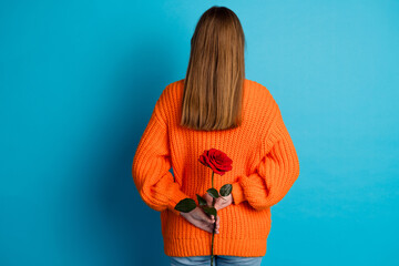 Lovely young woman with long brown hair holding a romantic red rose against a vibrant blue...