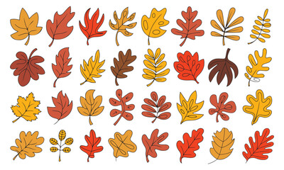 Autumn Leaves Vector Set – Fall Season Foliage Collection for Decoration and Design