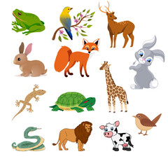 Naklejka premium A vibrant collection of diverse cartoon animals, including a frog, bird, deer, rabbit, fox, giraffe, lizard, turtle, snake, lion, cow, and another bird, all set against a white background.