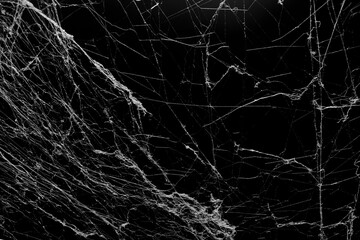 cobweb spider texture on black background, trap danger
