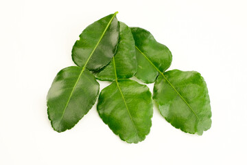 Kaffir lime leaves on a white background