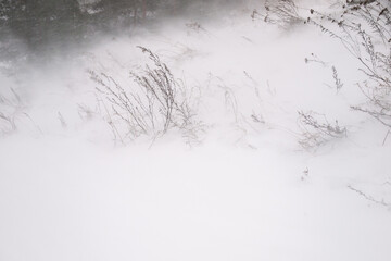 Winter snowstorm with wind blowing over snowy field and dry grass. Minimalist nature background.