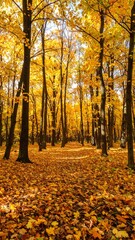 Autumn forest path, golden leaves