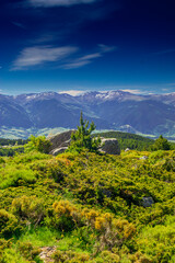 Obraz premium Mountain landscape of the Pyrenees in summer in the South of France. Pastures and forests in Font Romeu.