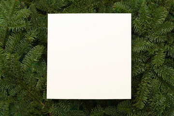 Christmas tree branches with mock up design, top view
