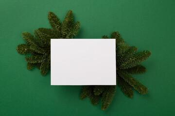 Festive Christmas tree branches with mock up black on color background, top view