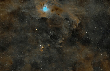 The Iris nebula and the ghosts in Cepheus constellation, taken with amateur telescope.