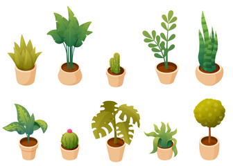 isometric set of house plants in pots, vector illustration