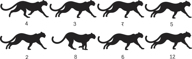 Cheetah running silhouette sequence, animal motion study, wildlife sprint phases, dynamic feline stride, black vector illustration, animation reference, biomechanics