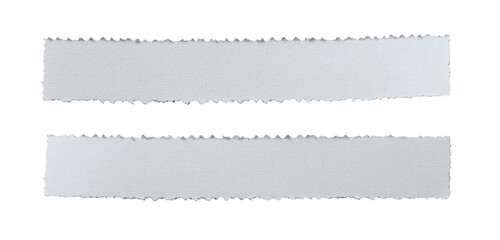 Two horizontal, rectangular, light gray shapes