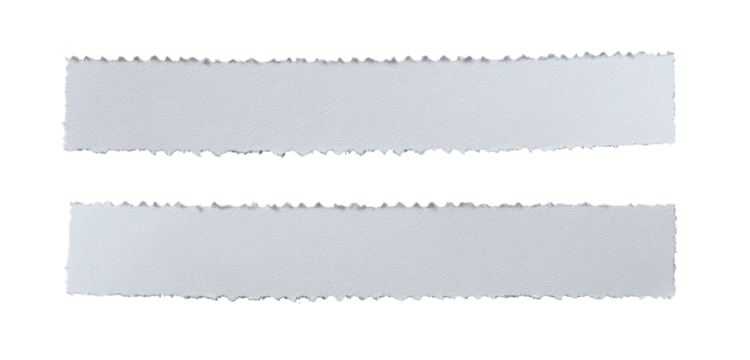 Two horizontal, rectangular, light gray shapes