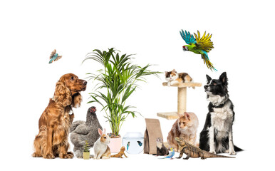 Large group of domestic animals sitting and flying together