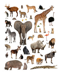 Large group of african animals standing and sitting together