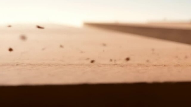 Macro View of Textured Surface with Soft Lighting and Shallow Depth of Field