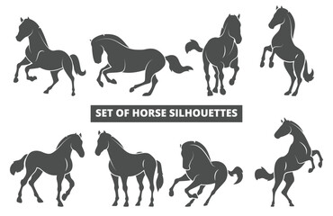 Set of Horse Silhouettes in Various Poses Elegant Animal Vector Collection