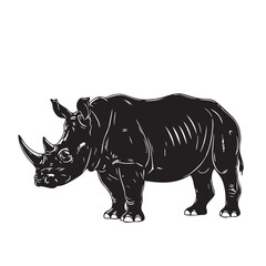 Fototapeta premium Majestic black rhinoceros standing proudly with detailed texture and powerful horns silhouette