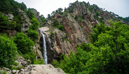 Scenic waterfall cascading down rocky cliffs in a lush green mountain forest.