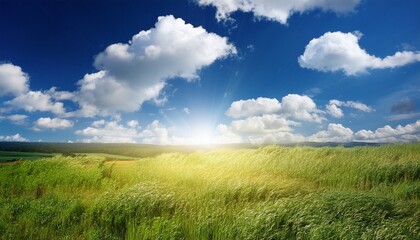 Obraz premium bright sunny day with fluffy clouds