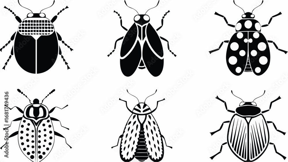 Poster illustration of six black and white insect designs with varying patterns and wing shapes displayed t