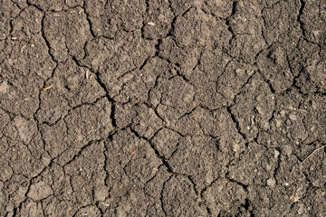 Global warming, Drought in the summer. Dark soil texture closeup
