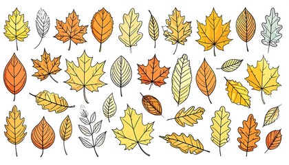 Obraz premium Autumn leaves collection