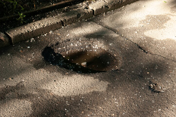 A small pothole in asphalt with a puddle at the bottom, surrounded and covered with poplar fluff.