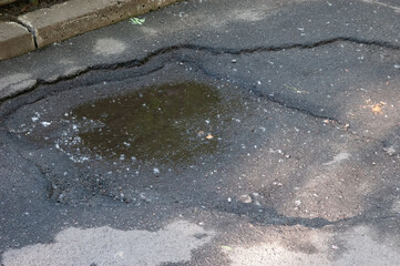 A small pothole in asphalt with a puddle at the bottom, surrounded and covered with poplar fluff.