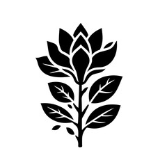 black silhouette of a Magnolia flower