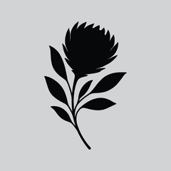 Simple Protea Flower Black Ink Drawing
