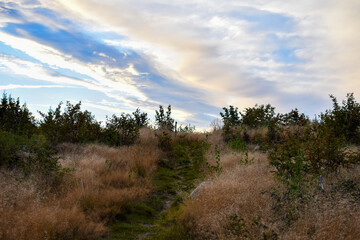 Obraz premium Clouds over a path in nature