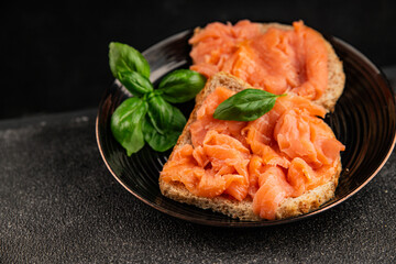 sandwich salmon smoked fish open sandwich delicious fresh portion size natural product tasty snack fresh delicious gourmet food background on the table rustic top view copy space pescetarian diet