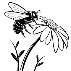Bee on a flower vector