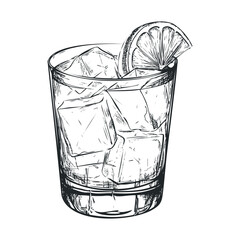 Refreshing cocktail with ice and lemon slice on glass. Vector illustration