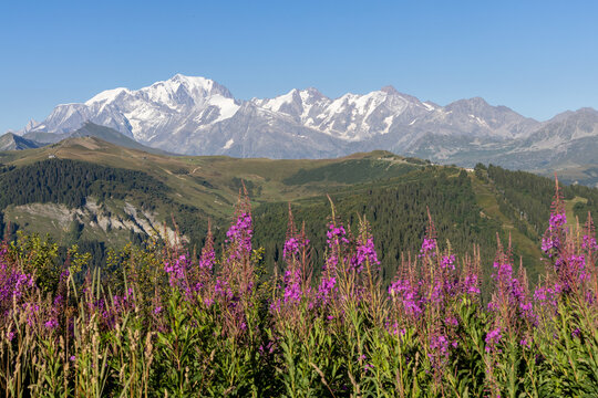 Summer Alpine Landscape in Hauteluce, French Alps