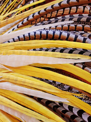 Detail background of yellow and white feathers. Fancy headdresses with carnival print. Costume and party clothing concept