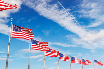 Rows of American flags waving against a sunny sky