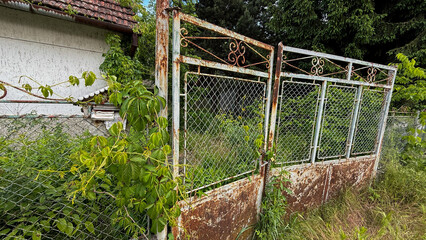 Rusted vintage gate entwined with wild vines, embodying forbidden garden allure, reminiscent of ancient Beltane rituals and secret nature retreats