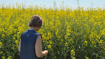 Blonde woman in blue dress wanders through sunlit canola field, evoking Ostaras renewal and World Bee Day warmth