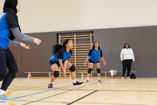Diverse female volleyball team assuming stances on court in blue jerseys, kneepads, copy space