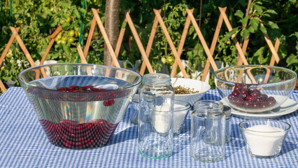 A sunlit patio with cherry jars on a checkered table for Fermentation Day, celebrating rustic...