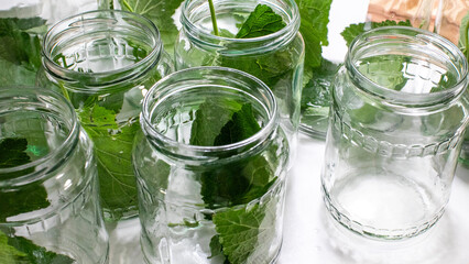 Glass jars embracing verdant mint leaves evoke herbal alchemy and Brew-a-Potion Day, enchanting...