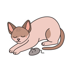 A cute, light brown Siamese cat is resting with its eyes closed. A small gray mouse toy is nearby, adding a playful element to the scene.